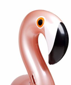 Flamingo floaties Hong Kong
