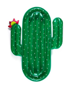 Cactus Pool Float 仙人掌浮床